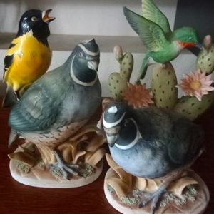 Free : Broken Birds - Mixed Birds with small breaks and chips